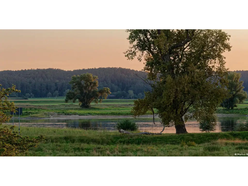 ilutrasi habitat alami