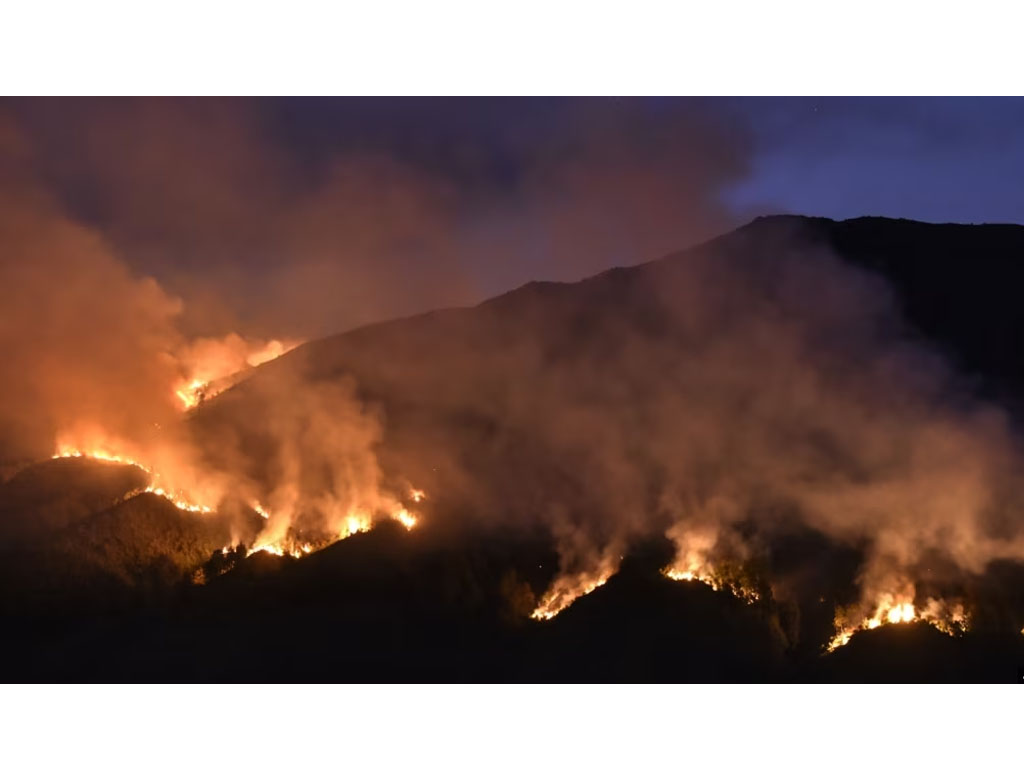 kebakaran di Bromo