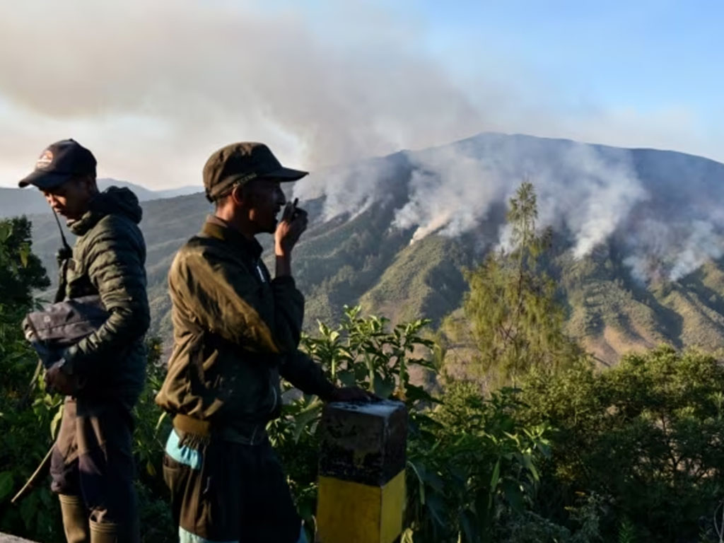 memantau kebakaran di bromo