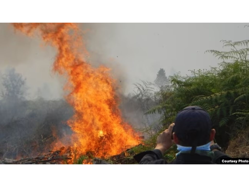 kebakaran hutan di Indonesia