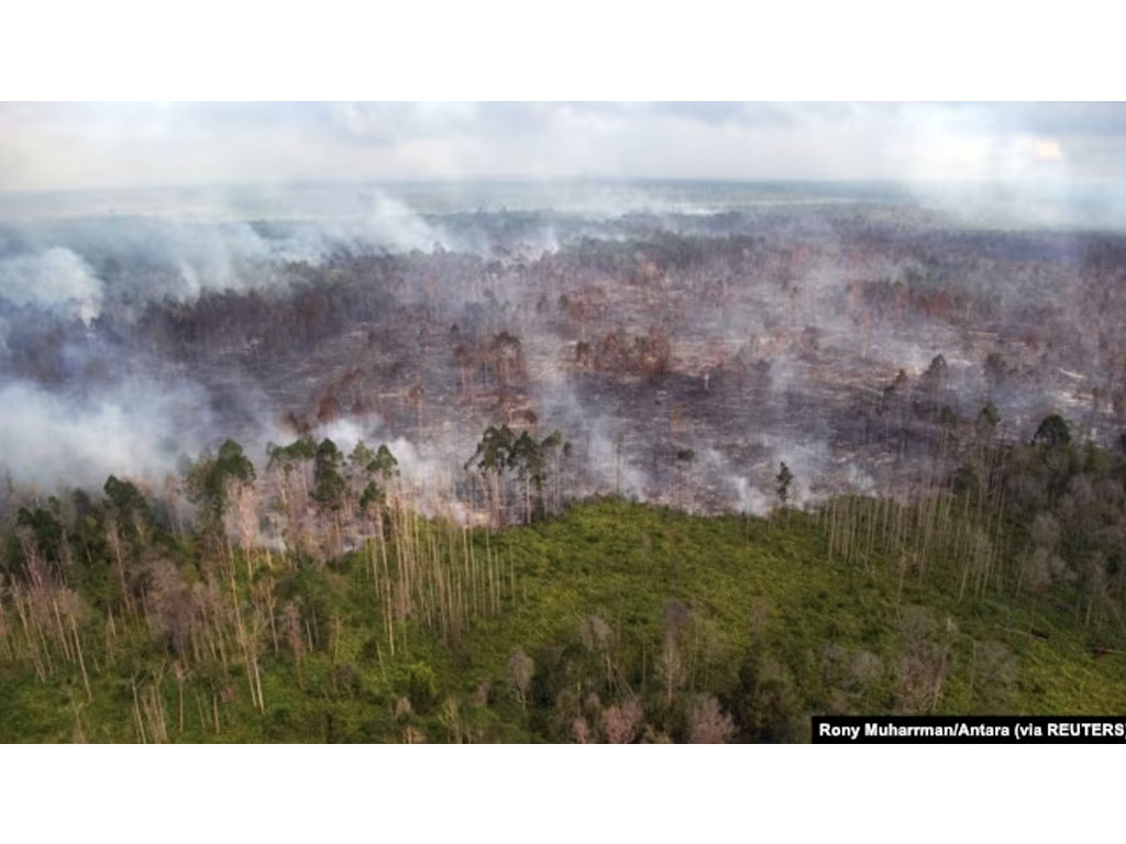 kebakaran hutan di riau