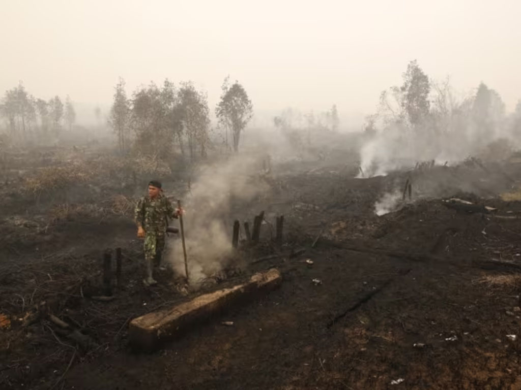 kebakaran gambut di kalteng