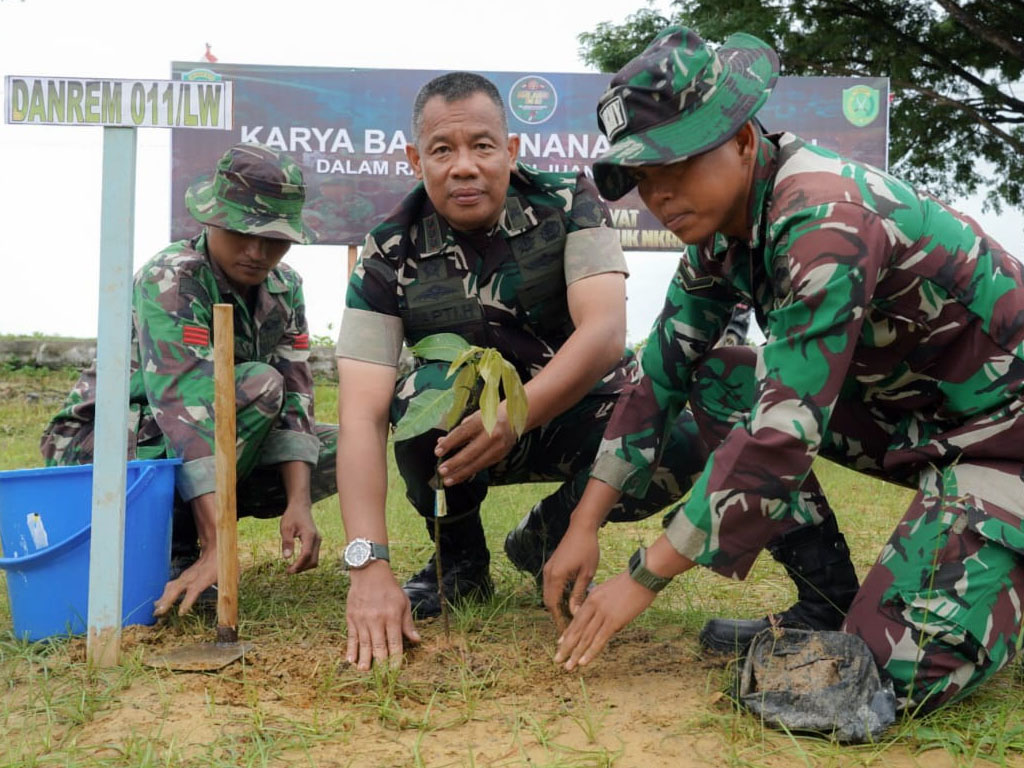 tanam pohon korem lw4