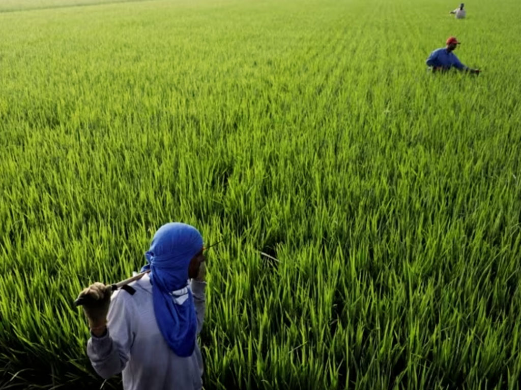 petani di Malaysia