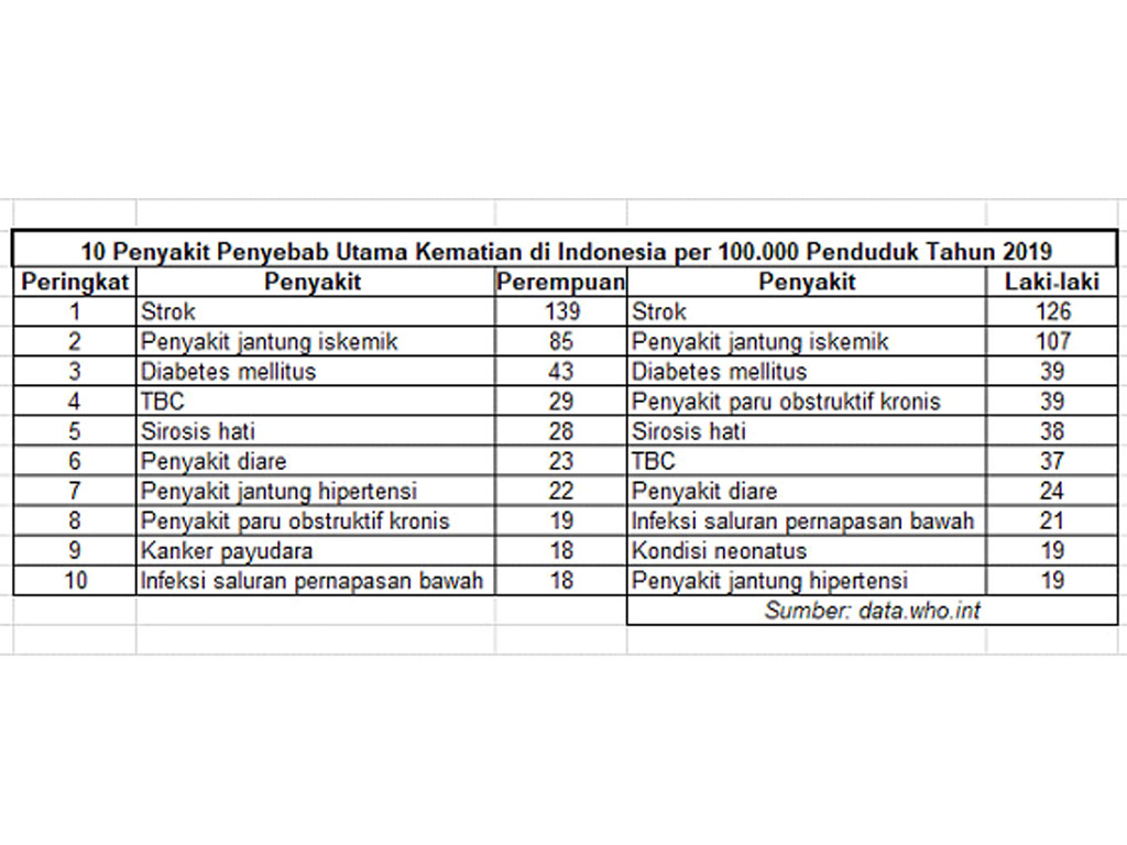 penyakit penyebab kematian di indonesia