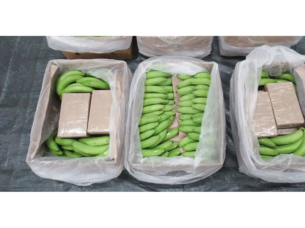 Paket kokain disembunyikan di antara pisang