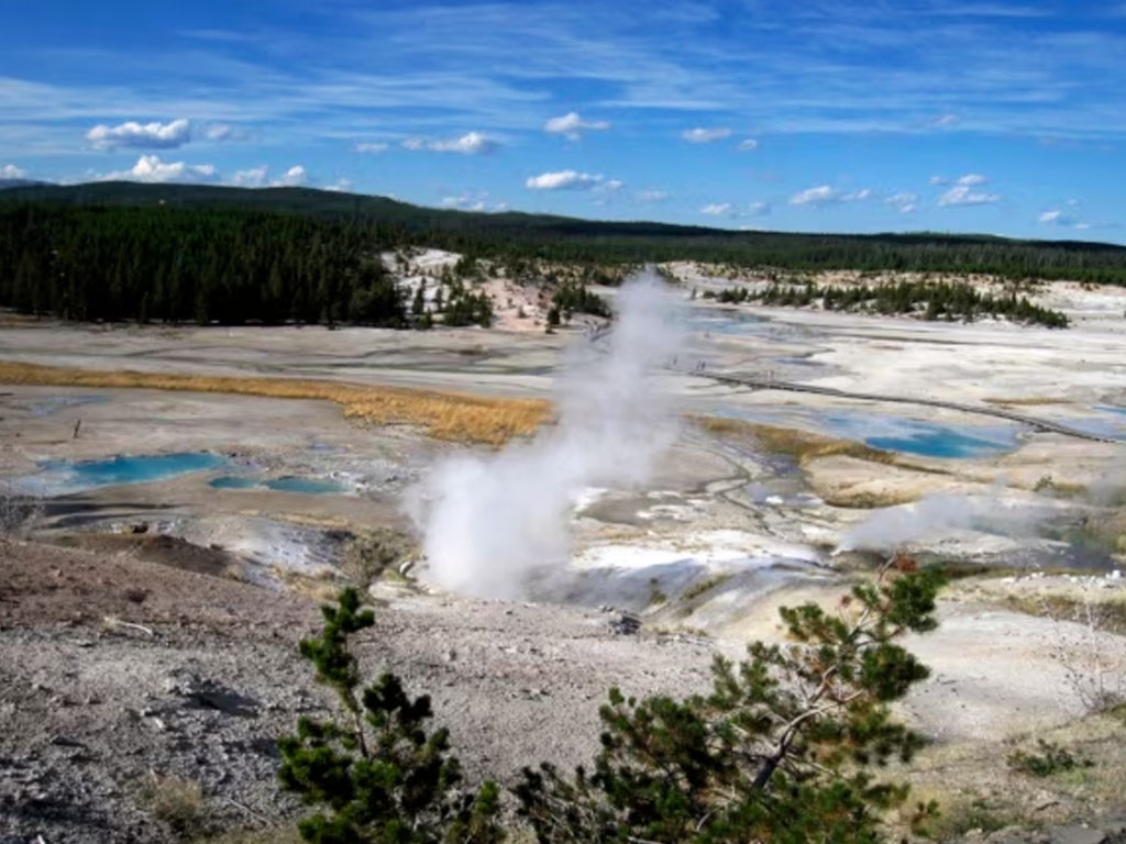 Cekungan Norris Geyser