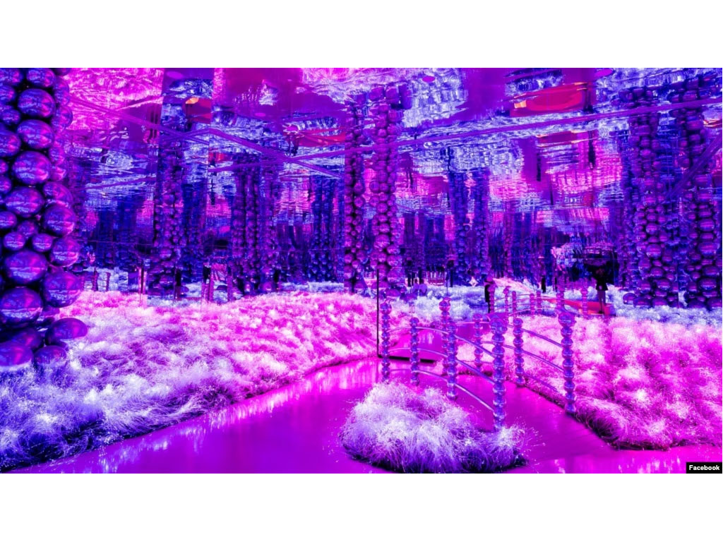 Electric Jungle