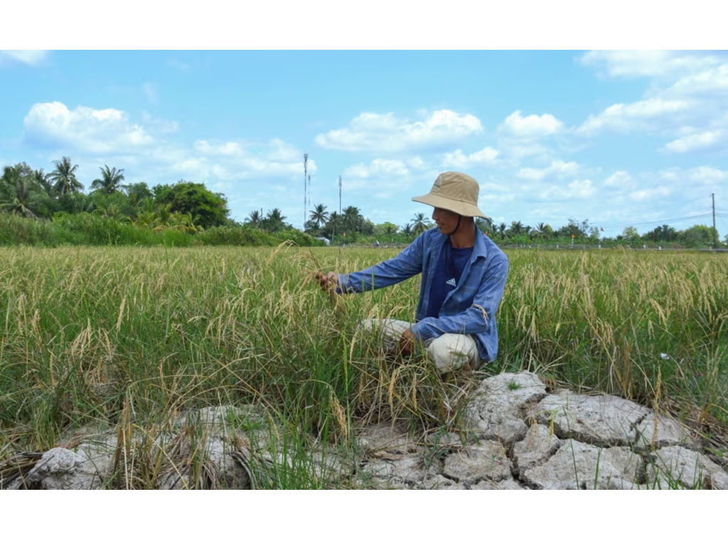 petani di vietnam