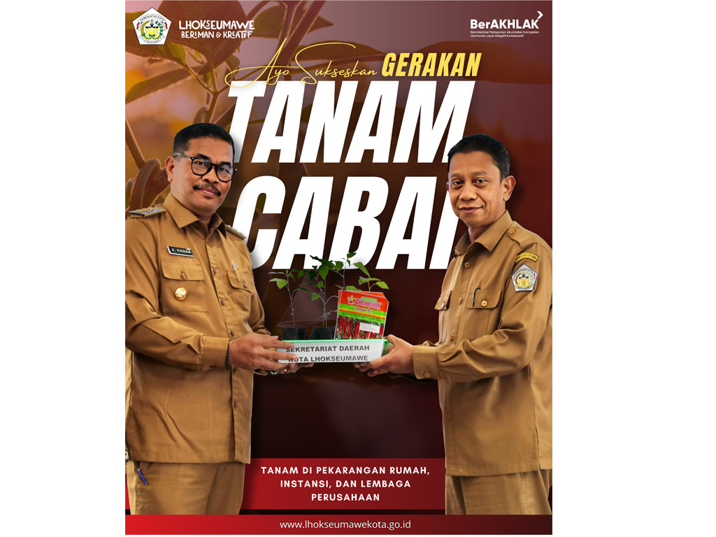 tanam cabai pemko lhokseumawe