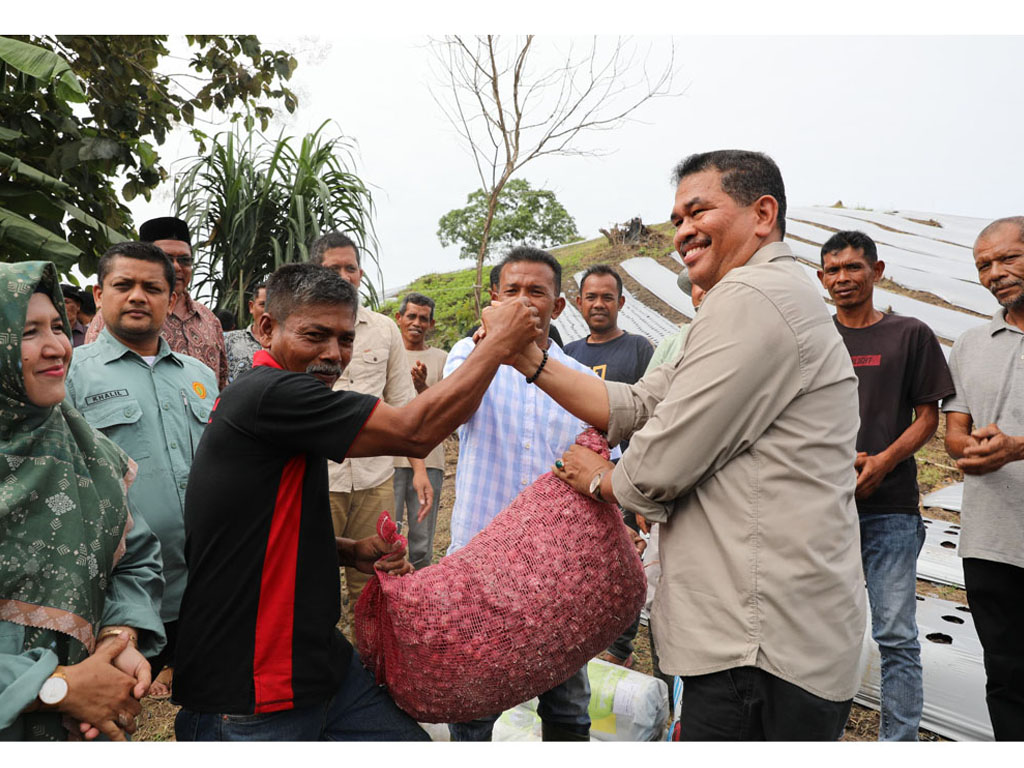 Hanan serahkan bibit bawang merah