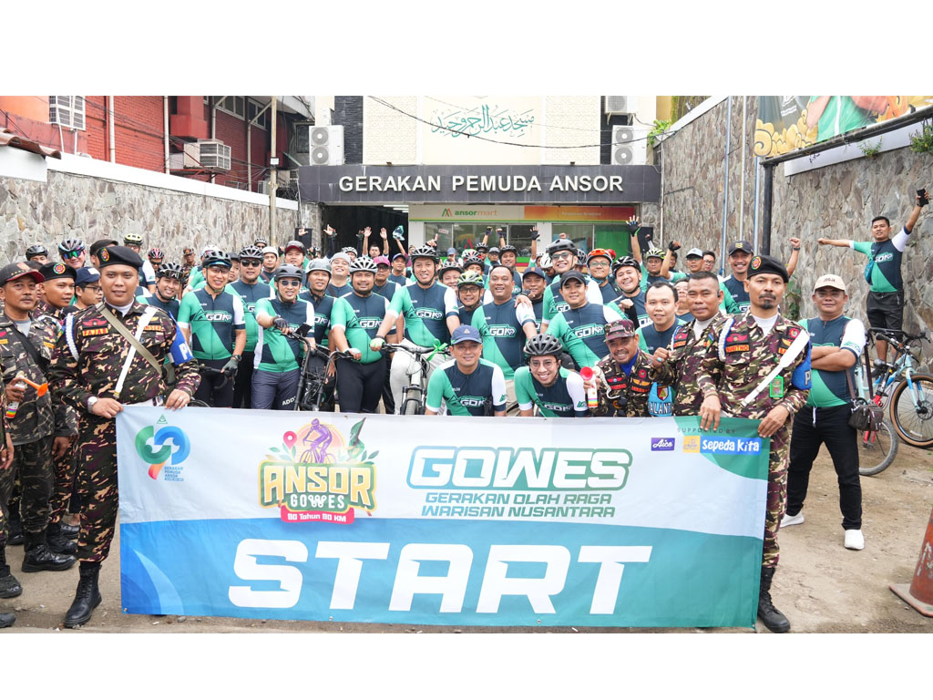 Aice gowes1