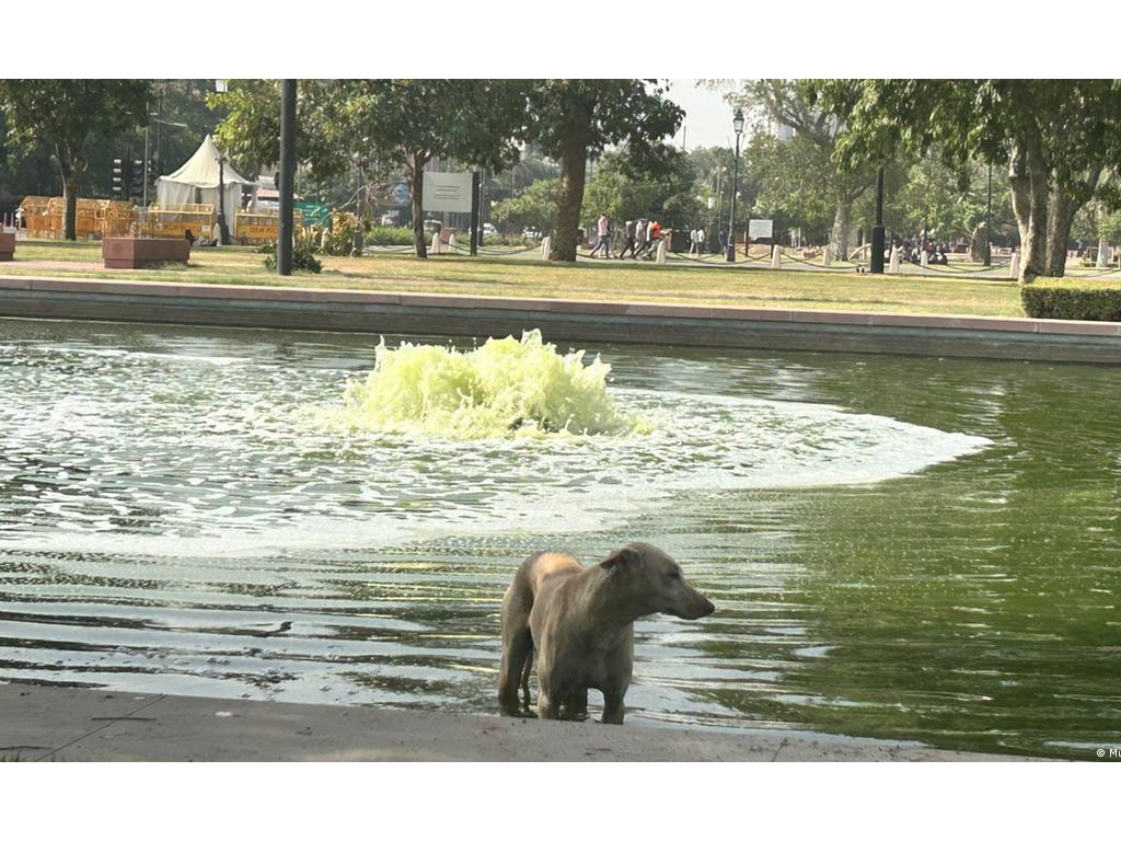 hewan kepanasan di India