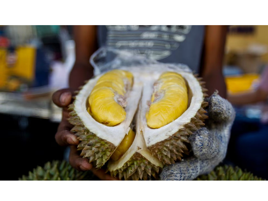 penjual durian di Malaysia