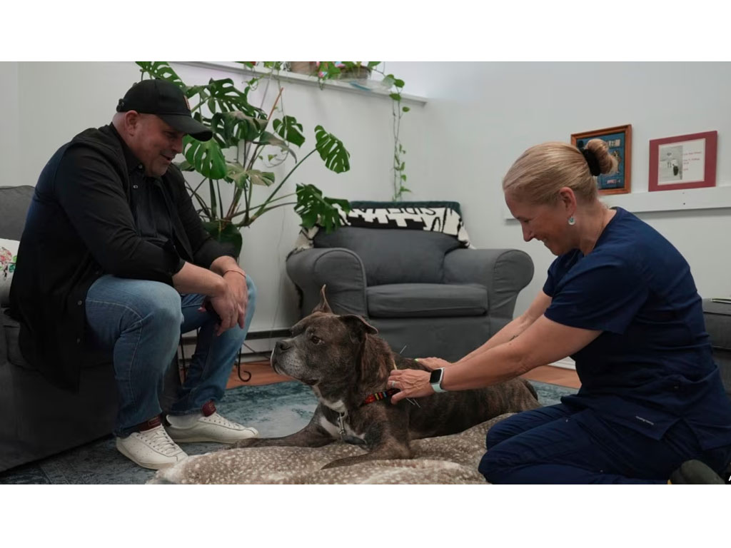 Lisa Walling dokter hewan di NY