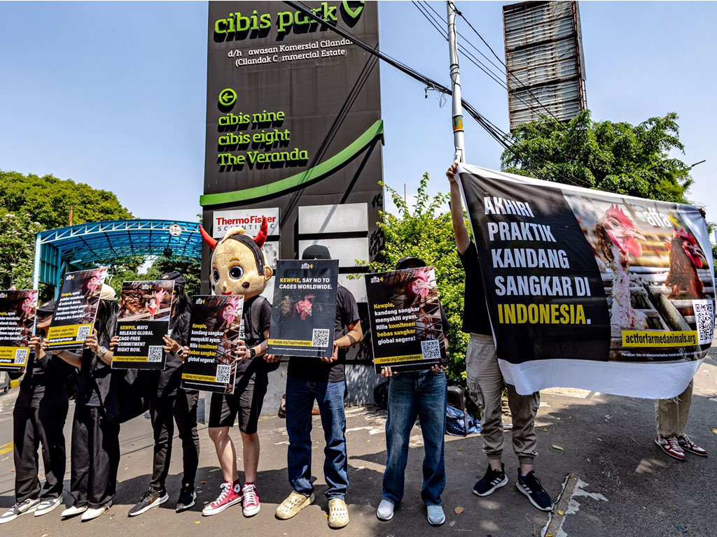 Aktivis Indonesia Desak Kewpie