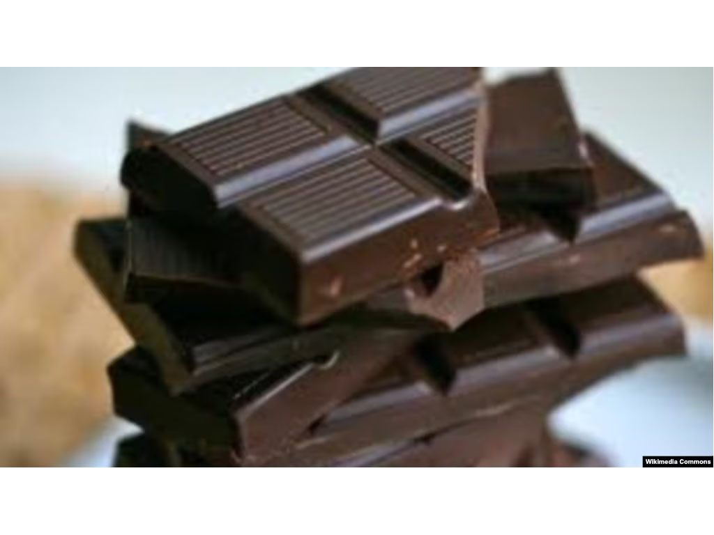 ilustrasi coklat