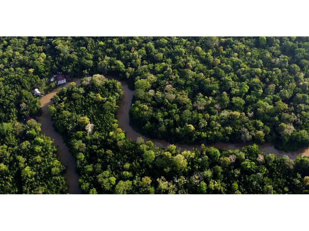 Hutan Amazon