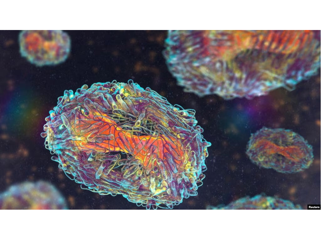 Partikel virus Mpox