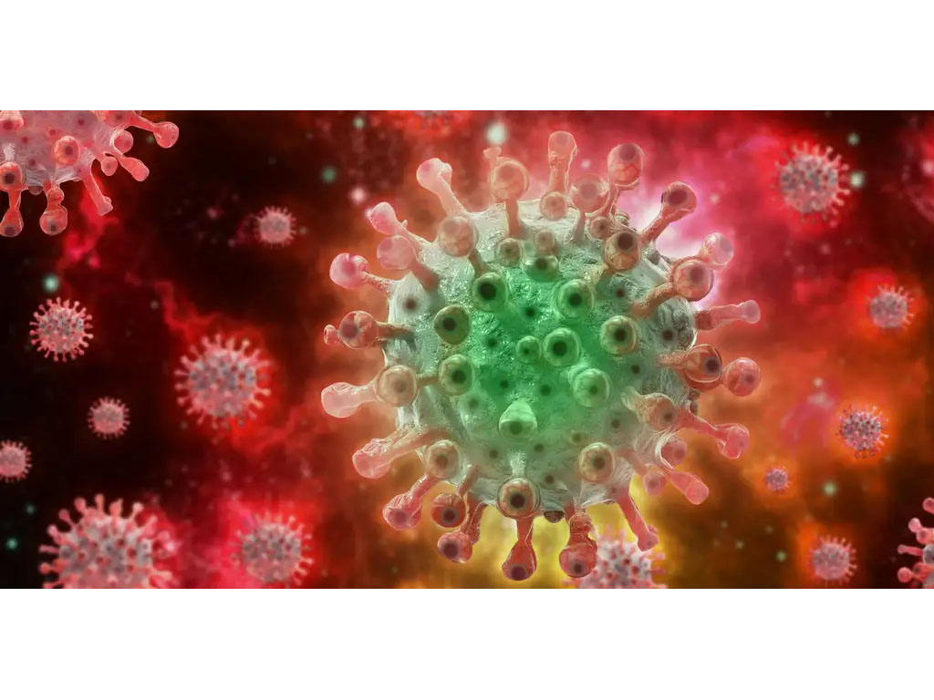 virus cacar monyet