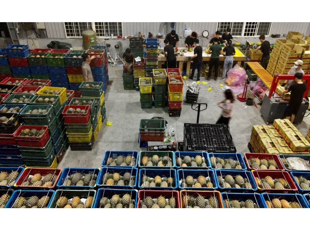 nanas taiwan