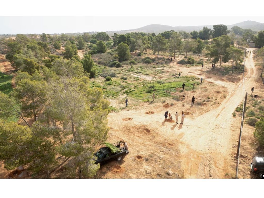 sukarelawan tanam pohon di Libya