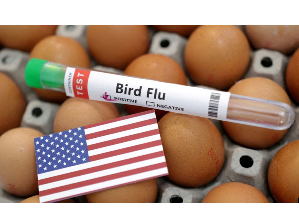 tabung tes flu burung