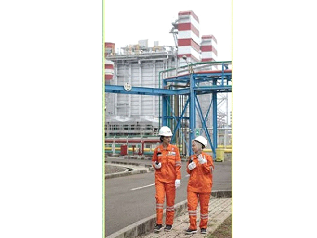 Ilus LKT PLN1