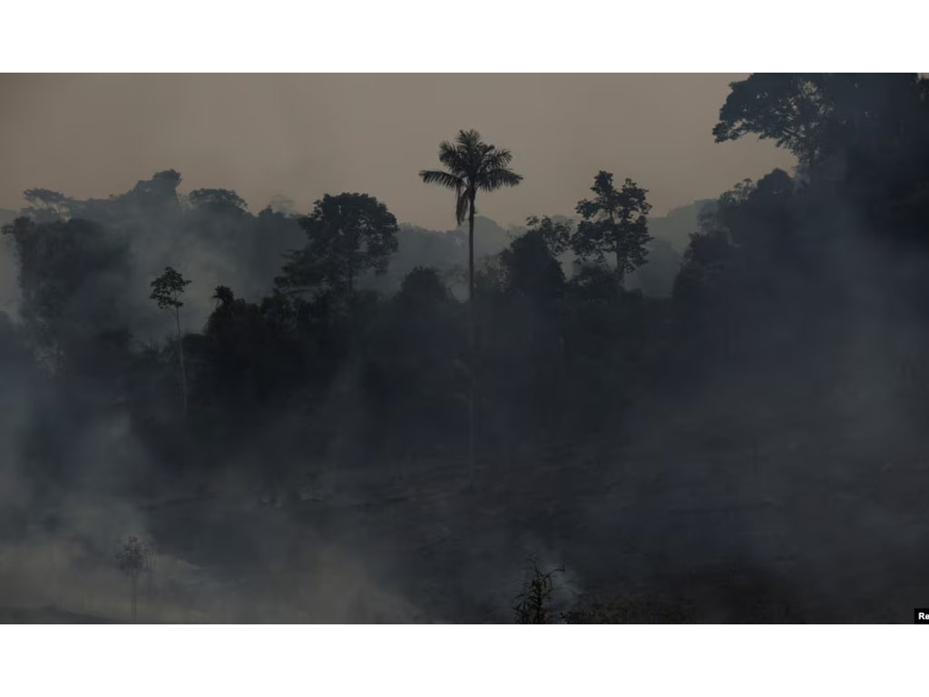 kebakaran hutan di Amazon