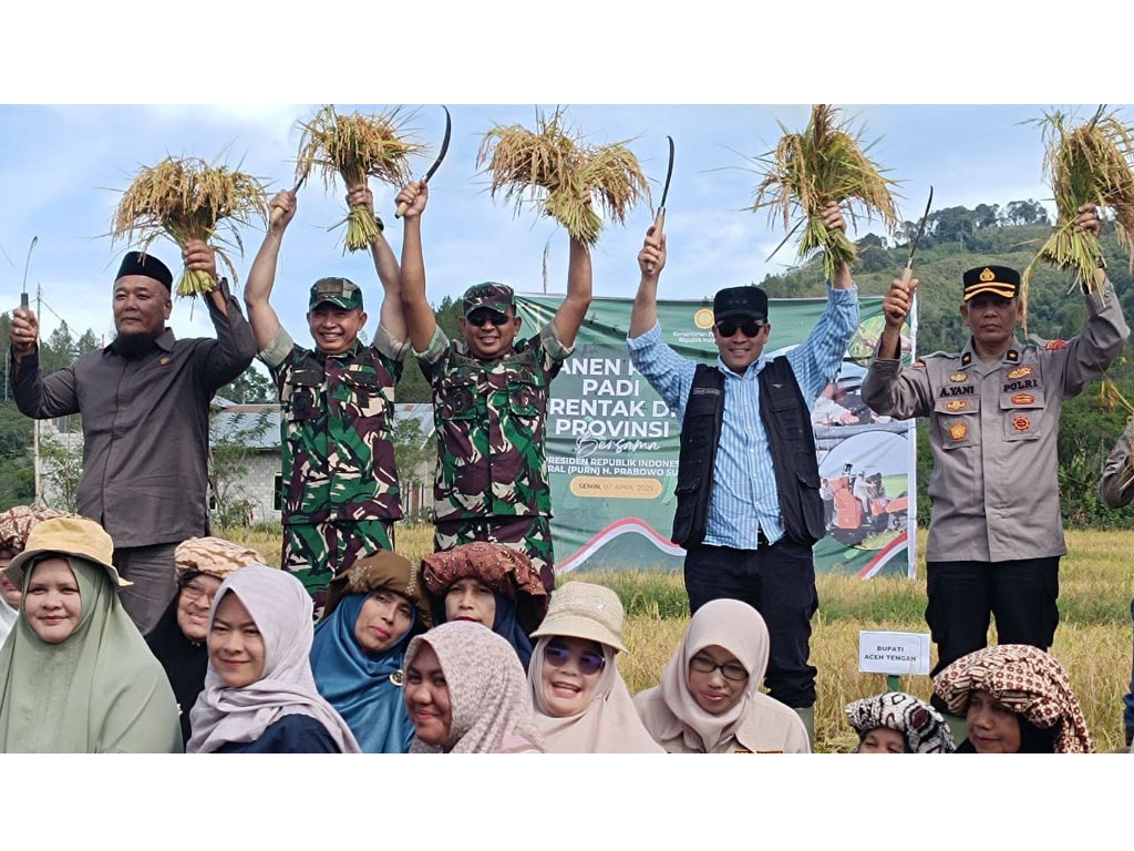 panen raya Gayo1