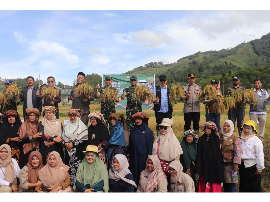 panen raya Gayo3