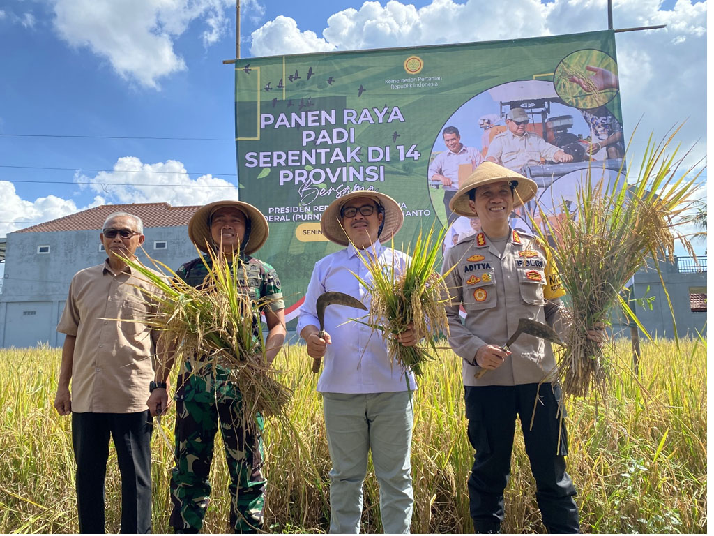 panen yogya1