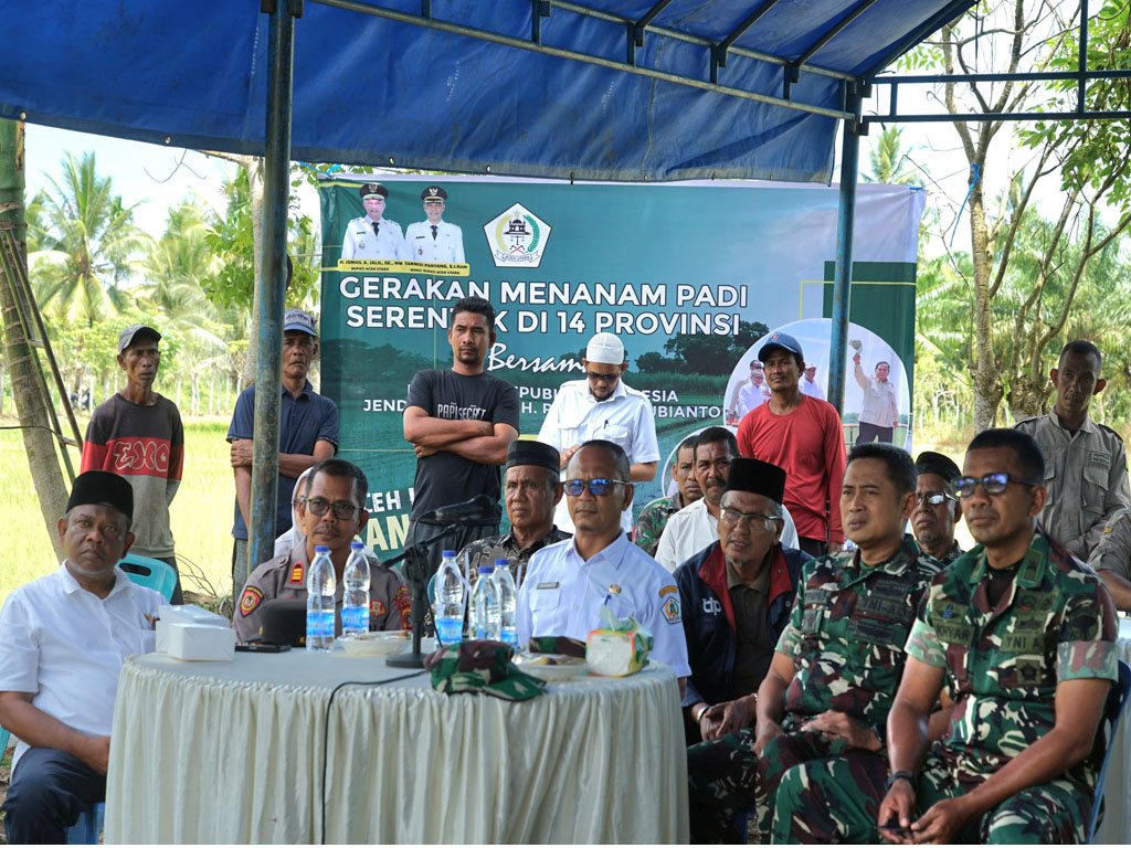 tanam padi Aut2