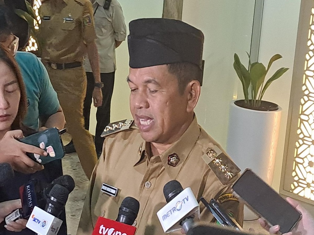 Dedi Mulyadi