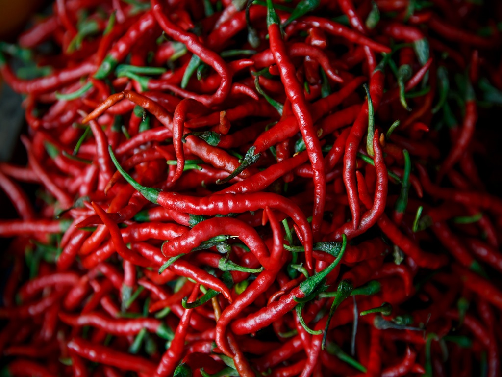 Petani Aceh