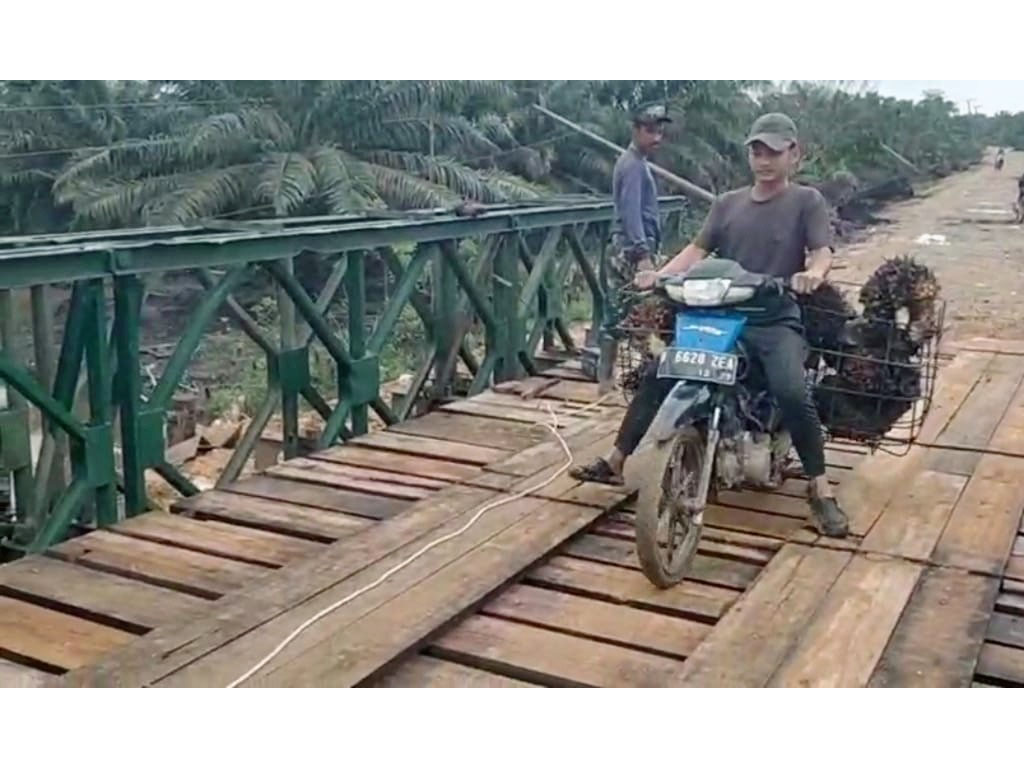 Bailey Baktiya 3