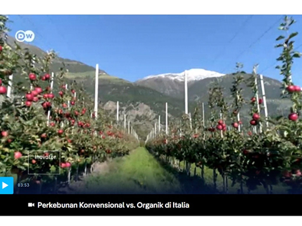 perkebunan di Italia
