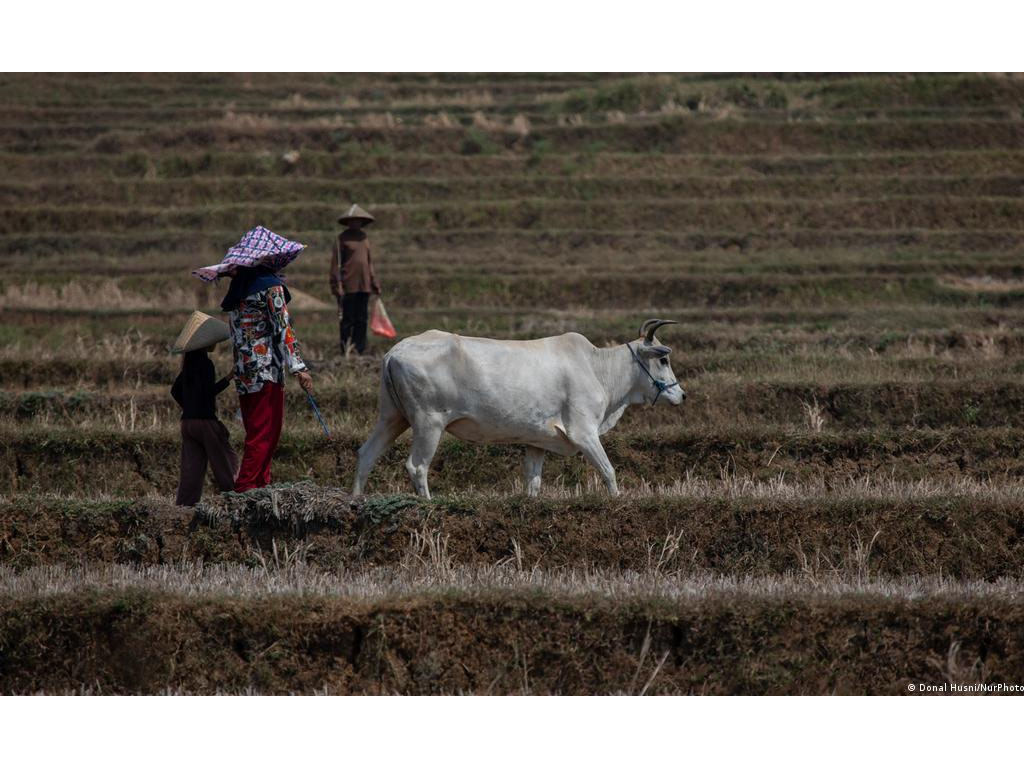 Lahan di Cibarusah
