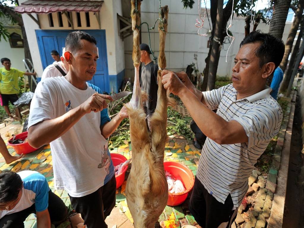 Berbagi Berkah dan Kebahagiaan Idul Adha, PGN Group Bagikan 955 Hewan Kurban untuk Masyarakat