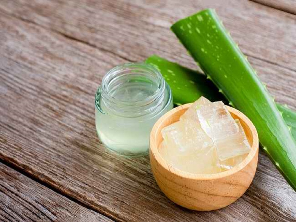 Tanaman Obat untuk Menghilangkan Bekas Luka: Solusi Alami yang Efektif